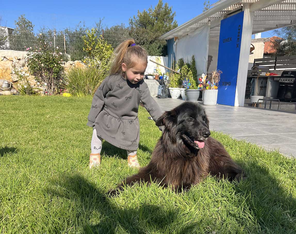 ילדה משחקת עם כלב